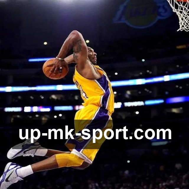 MK体育电脑版使用指南：全方位解析功能亮点与操作体验