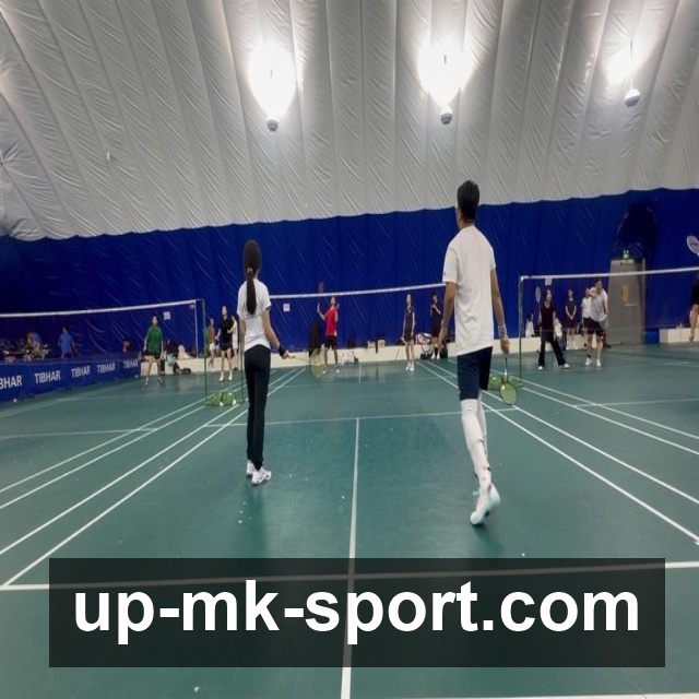 MK体育网页版：快速访问指南与功能亮点解析，畅享便捷使用体验